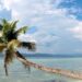 A person stands on a leaning palm tree over clear, shallow waters with distant mountains visible. Wearing a blue tank top, orange shorts, and a black hat, they look out towards the horizon under a partly cloudy sky, perhaps pondering how to make money on Pinterest while embracing the tranquil scenery. | MONEY6X