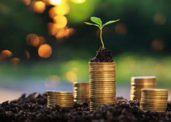 A young plant grows from the top of a stack of gold coins surrounded by soil and additional coin stacks, with a blurred green and yellow background, symbolizing financial growth and investment. How does Murphy's Law apply to saving money? Always be prepared for the unexpected. | MONEY6X
