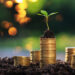 A young plant grows from the top of a stack of gold coins surrounded by soil and additional coin stacks, with a blurred green and yellow background, symbolizing financial growth and investment. How does Murphy's Law apply to saving money? Always be prepared for the unexpected. | MONEY6X