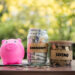 A pink piggy bank, a jar labeled "Emergency Fund" filled with dollar bills, and a jar labeled "Saving" brimming with coins sit on a wooden table. Several coins and U.S. dollar bills are scattered nearby, while blurred greenery provides the backdrop. | MONEY6X