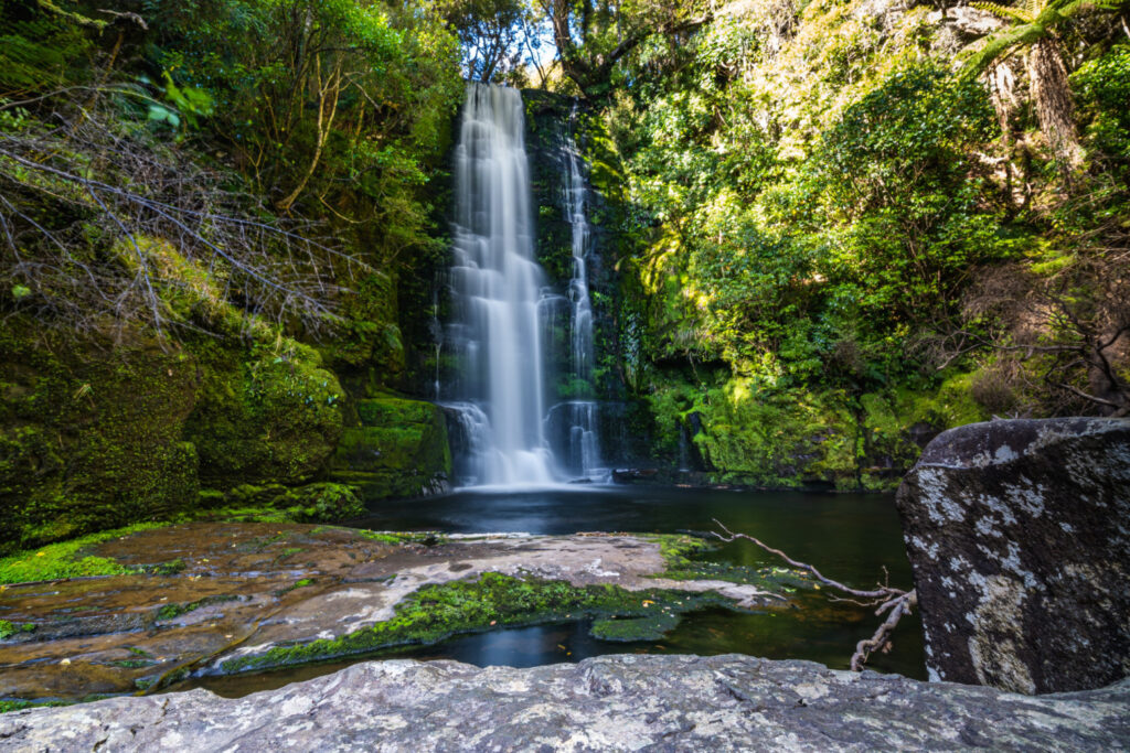 A tall, narrow waterfall near Auckland cascades into a clear pool surrounded by lush green moss, ferns, and dense forest foliage under dappled sunlight. Rocks and branches frame this tranquil, natural scene. | MONEY6X