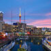 A lively waterfront marina at sunset in Auckland with boats docked, modern buildings lit up, and the Sky Tower illuminated in the background under a colorful sky. | MONEY6X