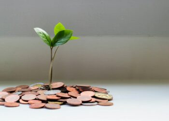 A small green plant grows from a pile of assorted coins on a white surface, symbolizing financial growth or investment. | MONEY6X