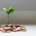 A small green plant grows from a pile of assorted coins on a white surface, symbolizing financial growth or investment. | MONEY6X